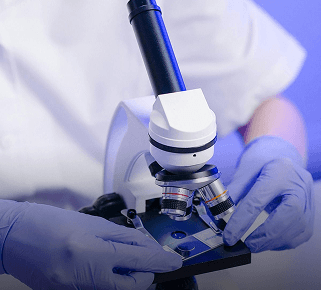 Наука и исследования