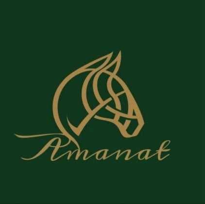 Ұлттық өнер